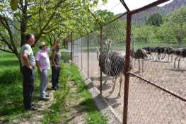 DSC_0001 serie 2-136